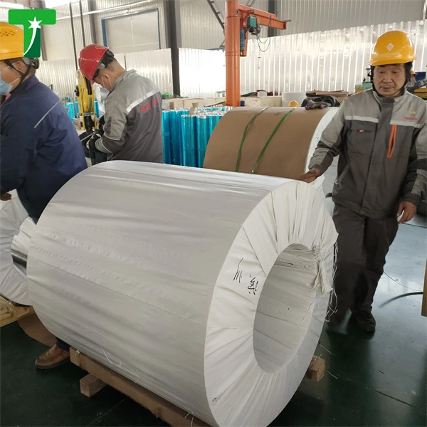 prepainted galvanized steel coil (4)